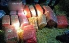 सशस्त्र प्रहरीद्धारा गाँजा बरामद